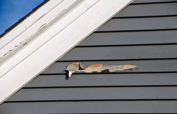 Best Hoarding Cleanup  in Berne, IN