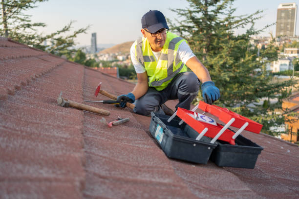 Best Demolition Debris Removal  in Berne, IN